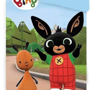 TRAPUNTA INVERNALE BING SINGOLA 170X260CM 1 TRAPUNTA INVERNALE BING SINGOLA 170X260CM